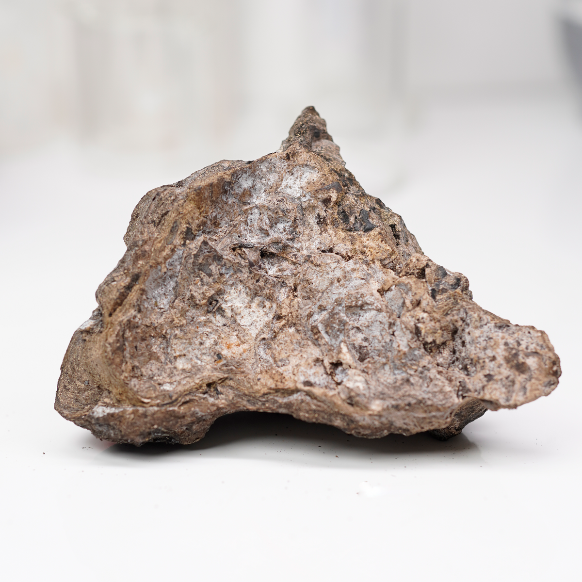 Grey Ambergris