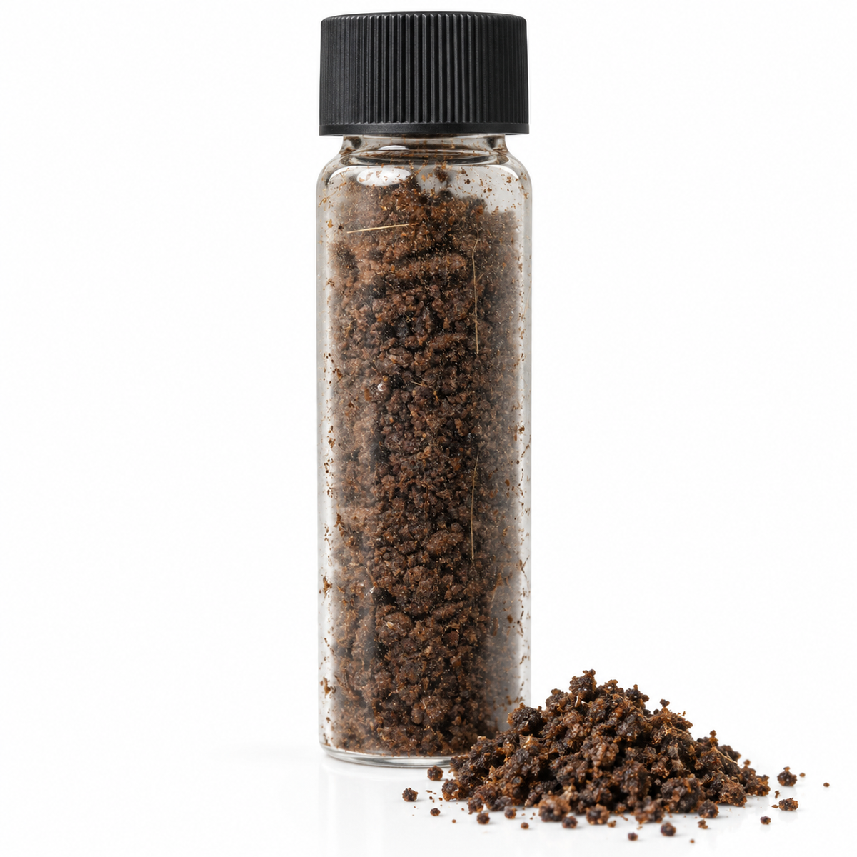 Siberian Musk Grains
