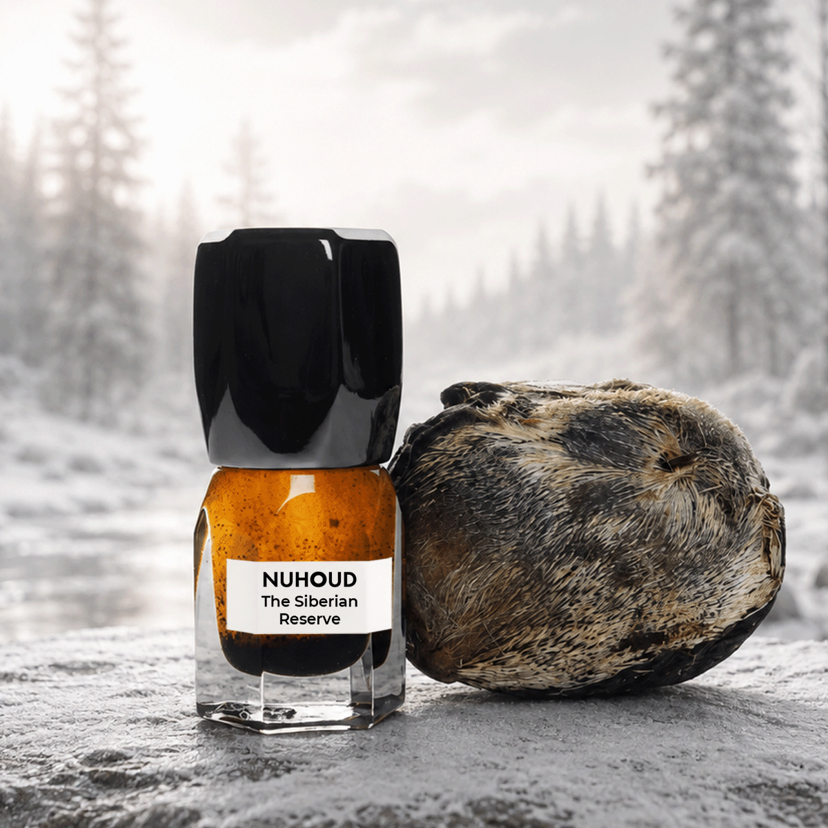 The Siberian Reserve