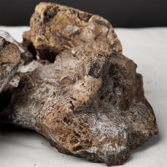 Grey Ambergris